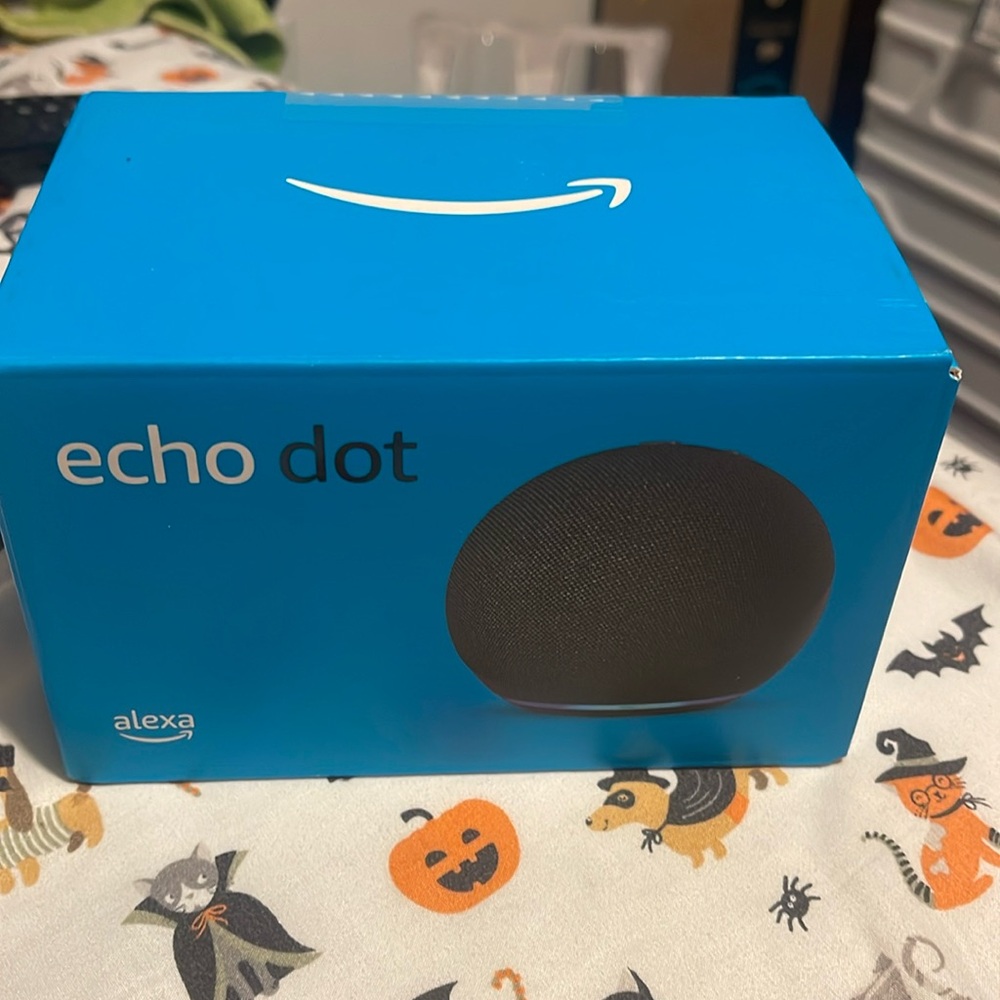 Alex echo dot